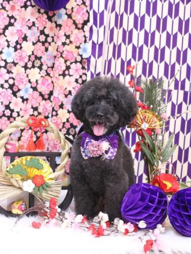 20250111ラブくん